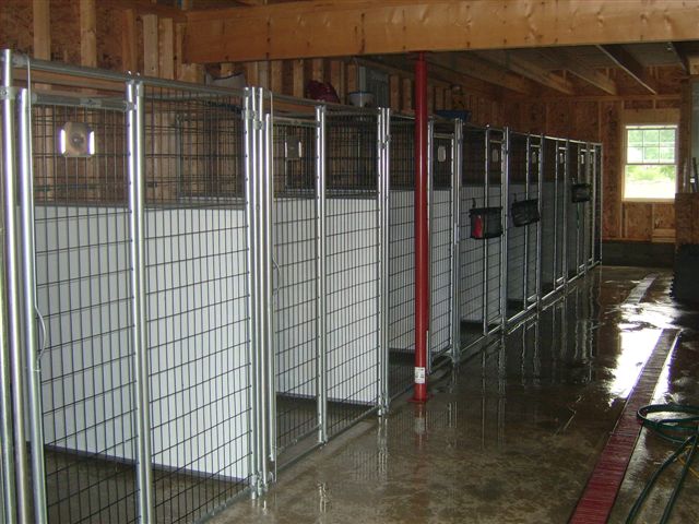 insidekennel2.jpg